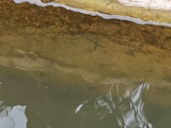 -晓港公园