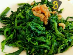 凉拌万年青-一品小笼(金融街店)