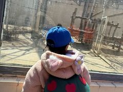 -大青山野生动物园