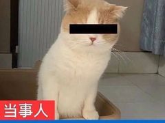 -重庆何乌鱼(南湖逸家店)