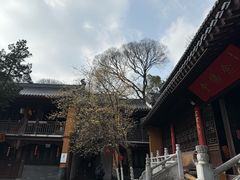 -灵谷景区