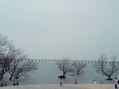 -宝安西湾红树林湿地公园