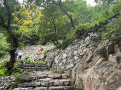 -北京鹫峰国家森林公园