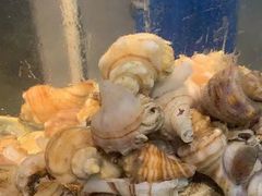 -美味海鲜大排档(明发美食地标店)