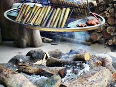 -阿里山邹族烤肉团队(山猪亮)