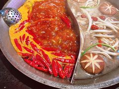 菌菇鸳鸯锅-珮姐老火锅(新街口店)