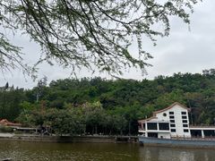 -深圳仙湖植物园