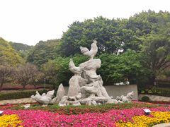 -金鸡山公园