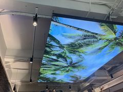 -探窝·竹笙椰子鸡(杨箕店)