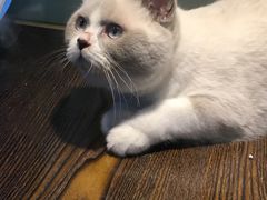 -乐宠宠物店(世纪金源店)