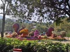 -广州市白云山风景名胜区