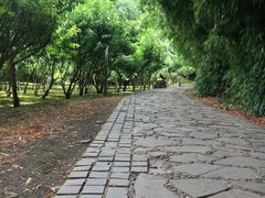 -贵阳市花溪国家城市湿地公园