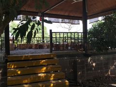 -晓雯人家