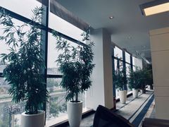 -北京华德宝宝马4S店(朝阳店)