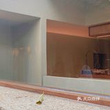 北京探店｜仙气十足下午茶·元古水屋