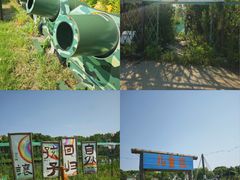 -暮谷MUGO ·团建聚会·露营烧烤·生日派对·共享菜地