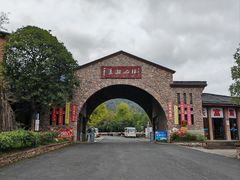 -千岛湖石林