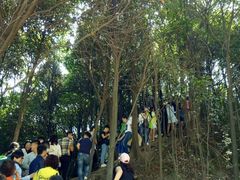 -梦幻奥陶纪景区