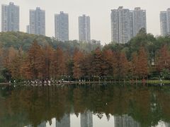 -重庆彩云湖湿地公园