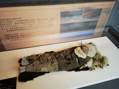 -巴音郭楞蒙古自治州博物馆