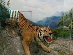 -国家自然博物馆