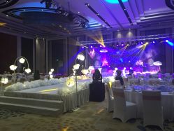 -M'S BANQUET AND SPACE ART