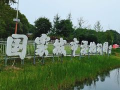 -金银湖国家城市湿地公园