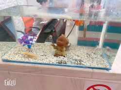 点击看大图 -Cocodemer女性健康·产后恢复(天一广场店)
