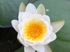 -好麺世家海鲜面馆(新建中路店)