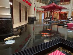 -唐山河头老街国丰维景度假大酒店