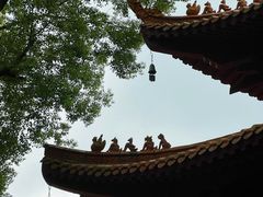 -深圳仙湖植物园