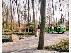 -合肥滨湖国家森林公园