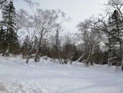 -大秃顶子山