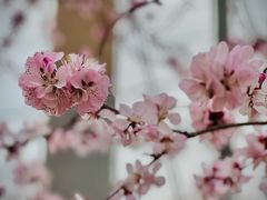 -南长河公园