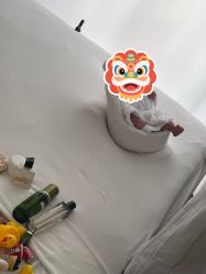 点击看大图 -玛瑞莎孕婴童摄影到家拍