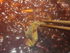 -小王少龙火锅(沙南街店)