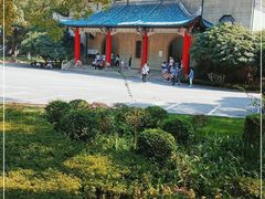 -茶颜悦色(登高路上店)