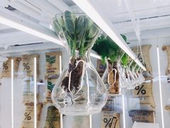 -% Arabica阿拉比卡咖啡(前滩太古里店)