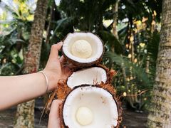 -东郊椰林