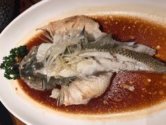 -燕郊烧鸽子(广安路店)