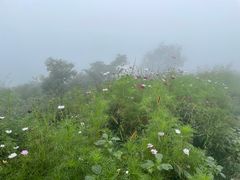 -阳台山自然风景区