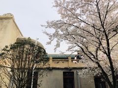 -武汉大学-樱园