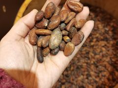 -歌斐颂巧克力小镇