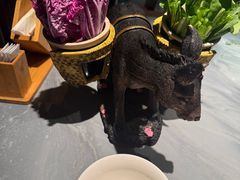 -慢丽江·云南野生菌土鸡锅(付家庄店)