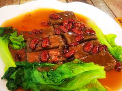 -东鸽皇(奥园·中环广场店)