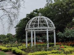 -鹅湖玫瑰文化园