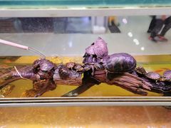 -三旗百汇商品城