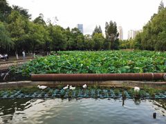 -月牙潭公园