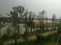 -瑶湖郊野森林公园