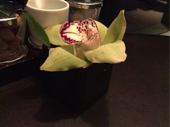 逸酒店-杭州逸酒店(西湖武林店)